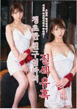观察记录本平铺示意