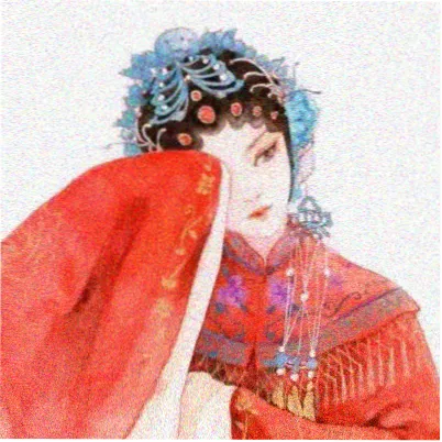 读者闻渡头像
